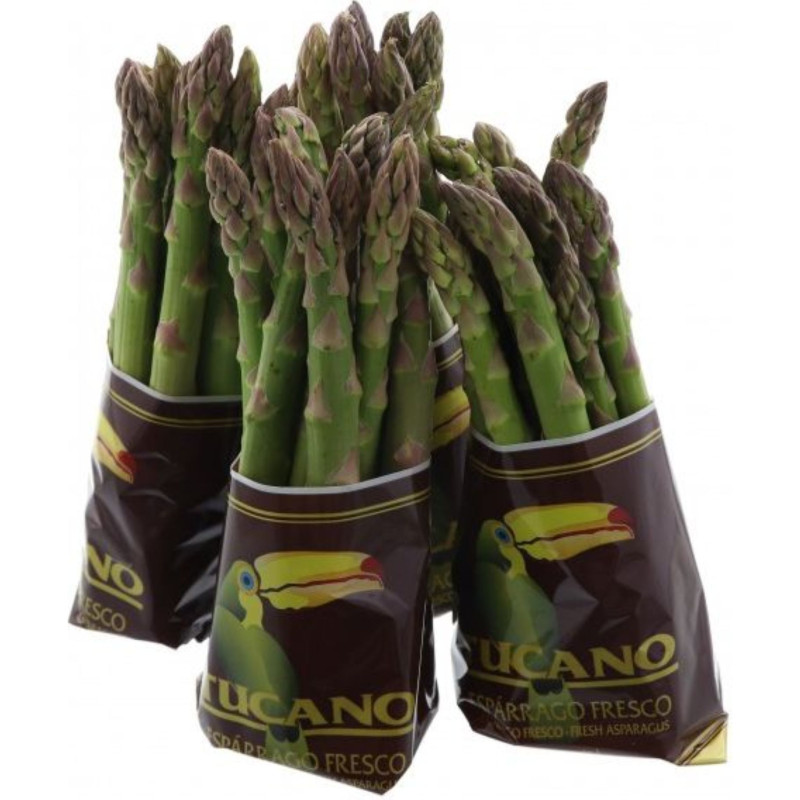 ASPERGE VERTE XL 8X420G